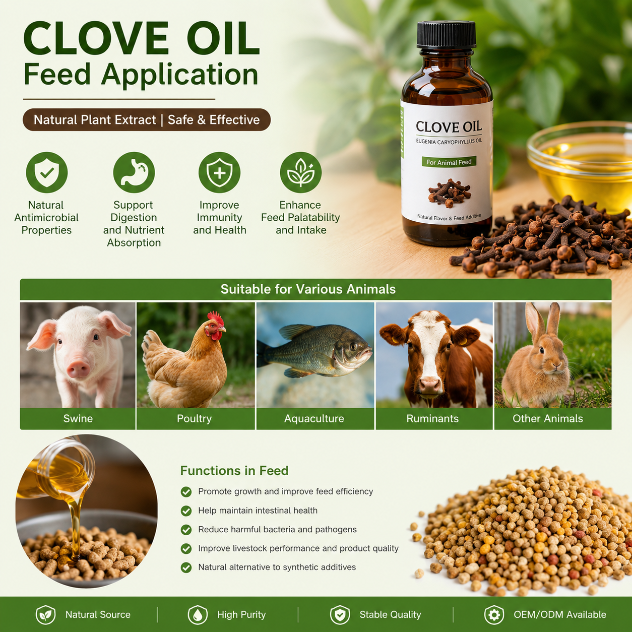Clove Oil.png